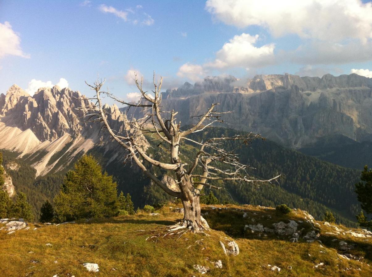 Piz Alpin B&B Calfosch Extérieur photo