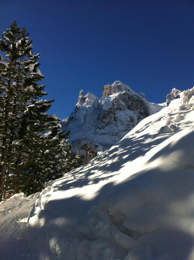 Piz Alpin B&B Calfosch Extérieur photo