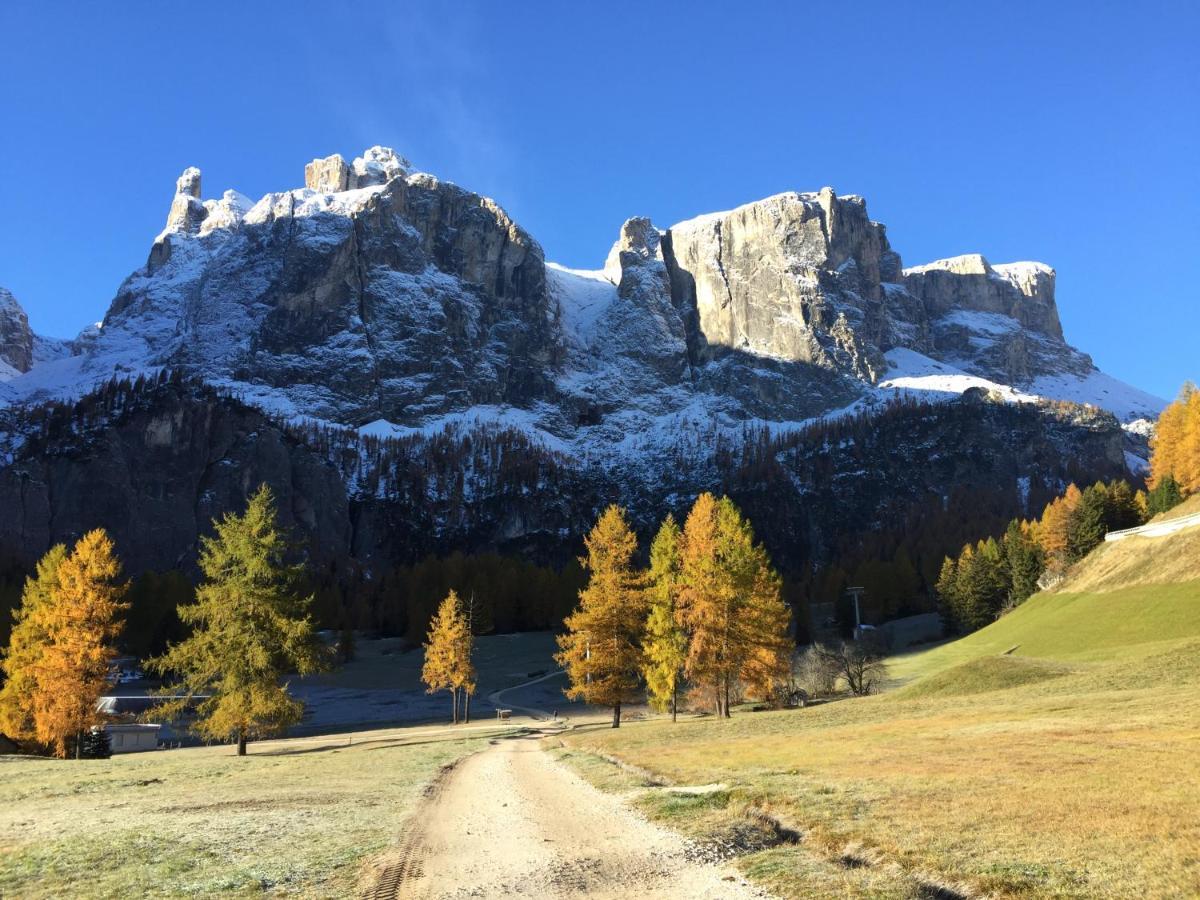 Piz Alpin B&B Calfosch Extérieur photo